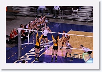 Set 2 * (168 Slides)